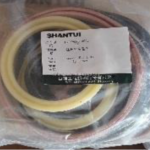 Ripper Seal Kit SD22
