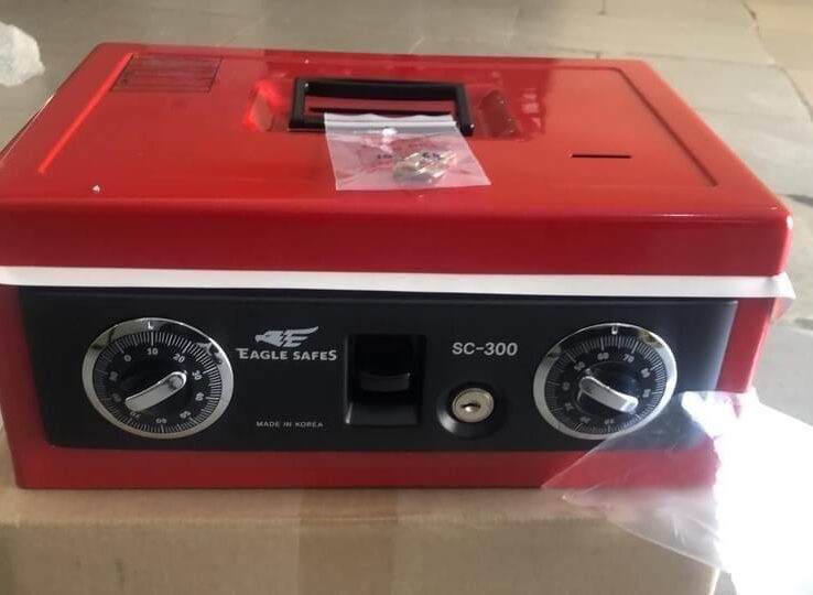 Eagle Safe (Portable Box)