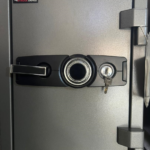 Eagle Safe with Lock